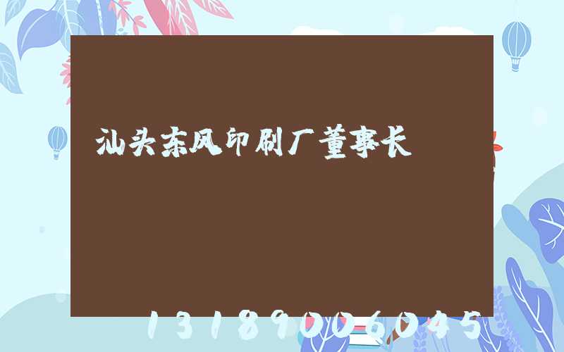汕头东风印刷厂董事长